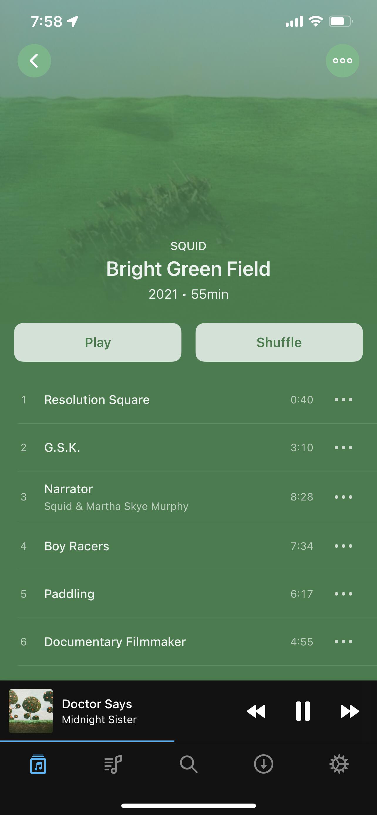 Image of the album view with a predominantly green record