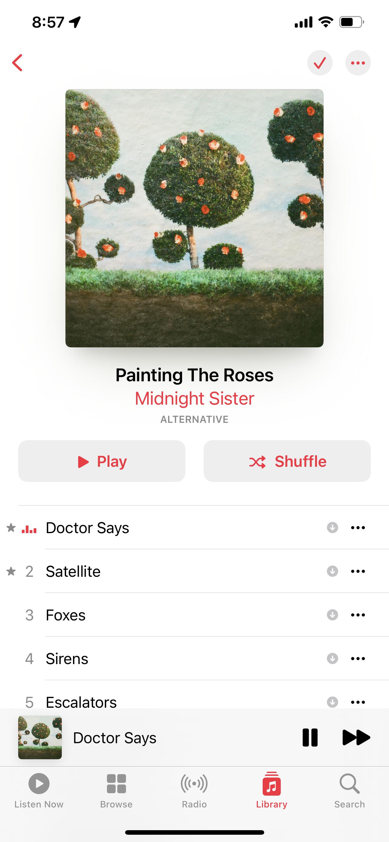 Image of Music.app's light theme album-view