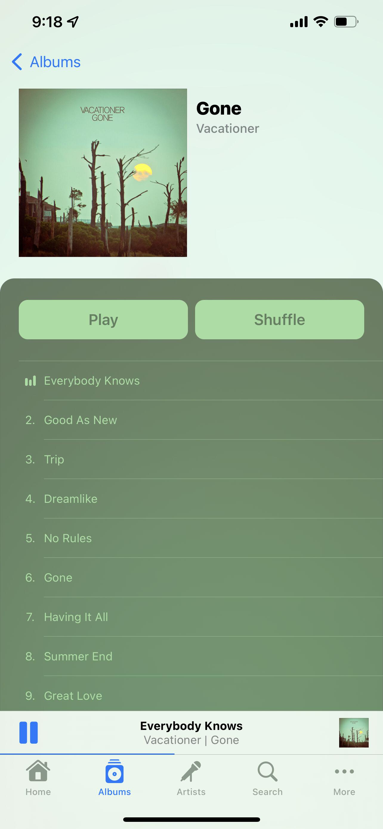 Image of the album view in light mode with a predominantly green record