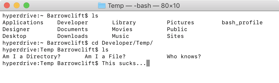 Terminal window, all output is in plain, black text against a blaring white background