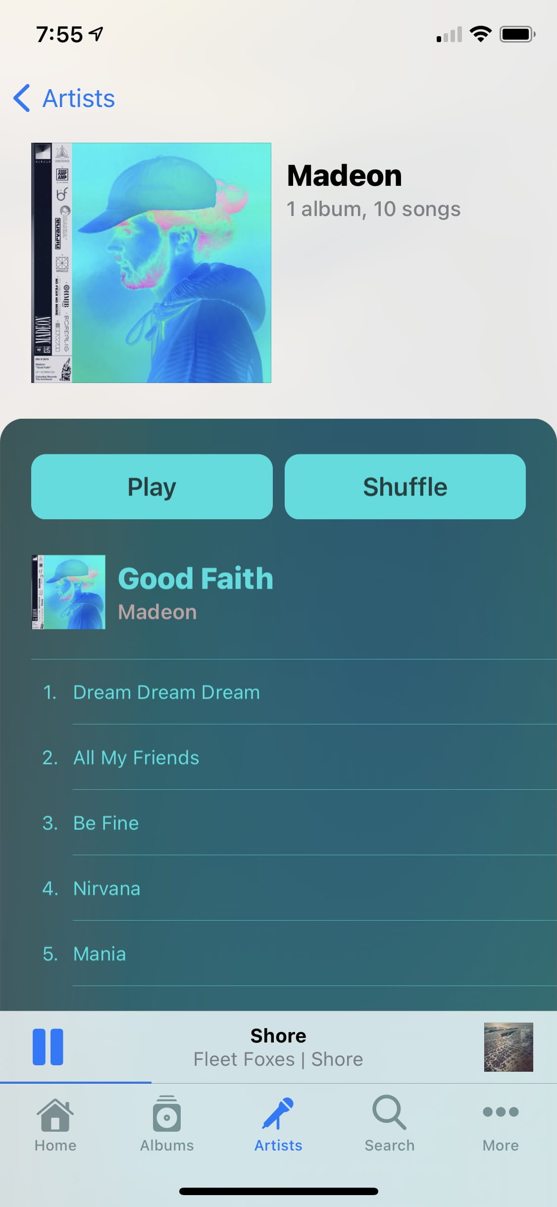Image of the album view with a predominantly blue record